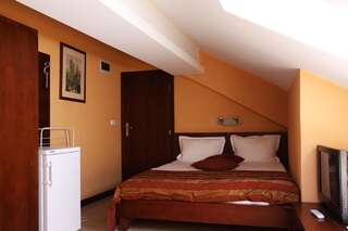 Отель Asti Arthotel Синеморец Стандартный двухместный номер с 1 кроватью-2
