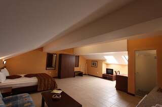Отель Asti Arthotel Синеморец Стандартный двухместный номер с 1 кроватью-3
