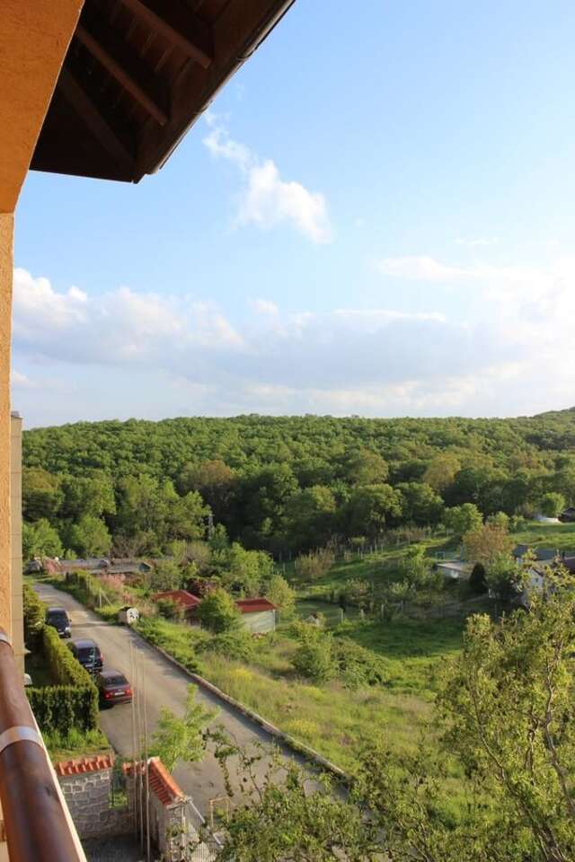 Отель Asti Arthotel Синеморец-15